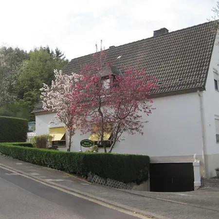 Ferienwohnung Weber Schleiden Exterior photo